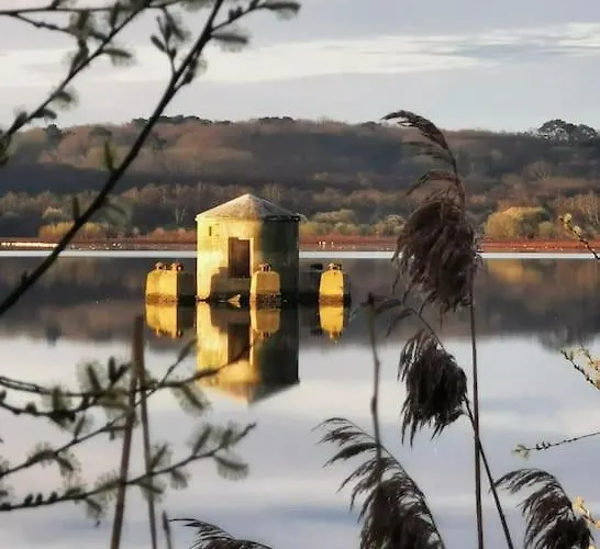 Piscine Ocean Labenne